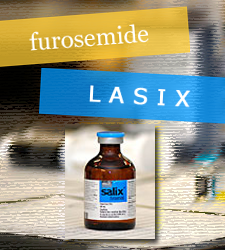 furosemide - lasix-salix bottle